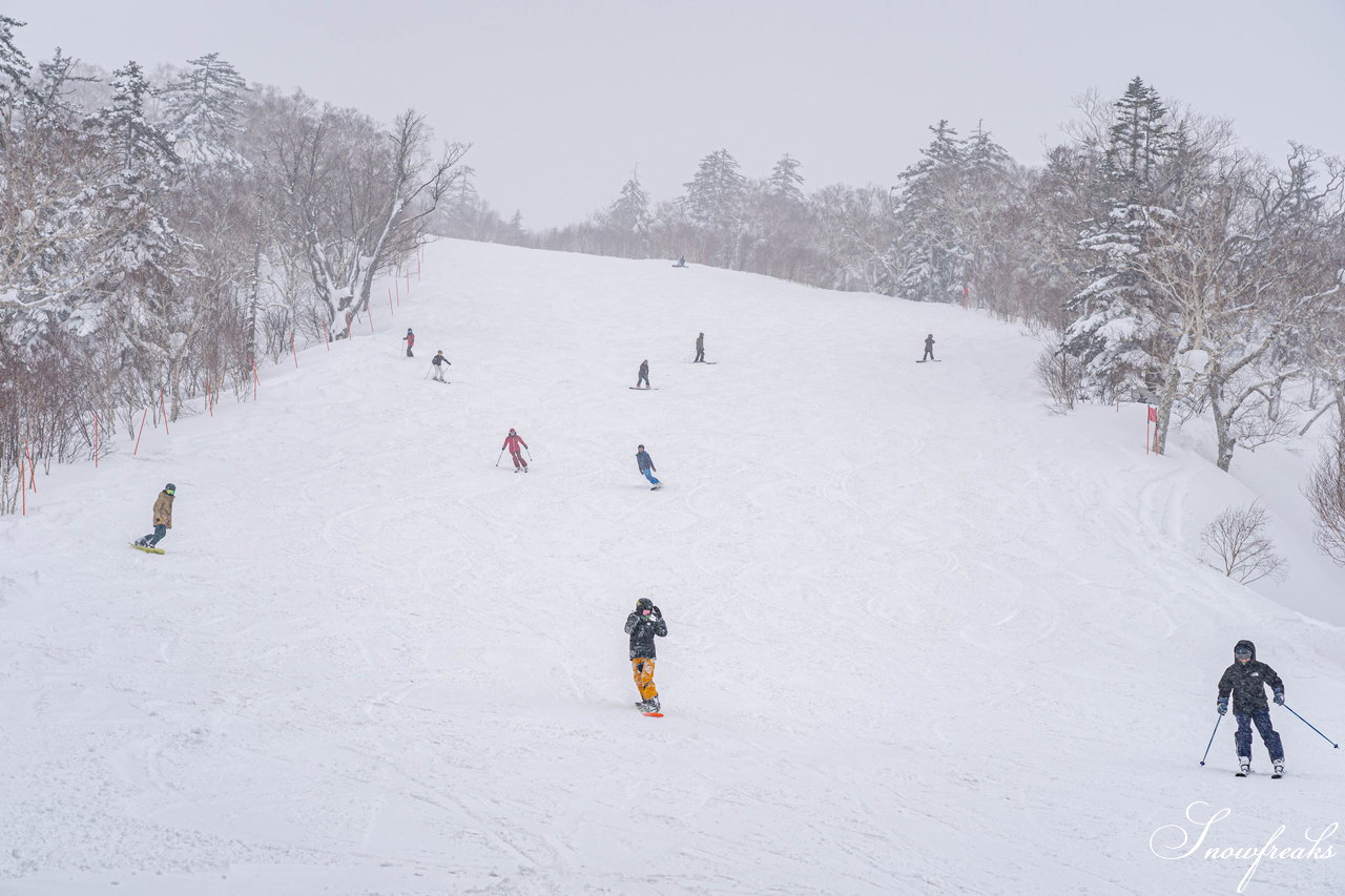 札幌国際スキー場　街は雨でも、山は雪！広々ゲレンデに思う存分シュプールを描こう(^^)/